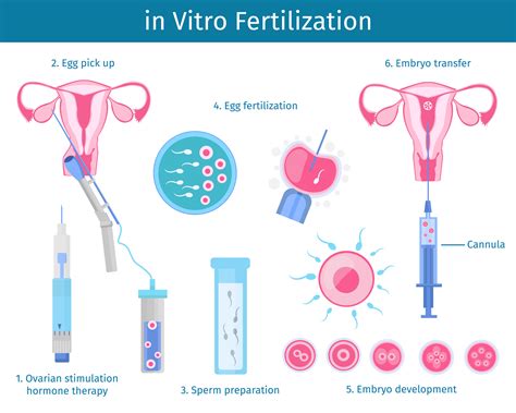 The test results indicate whether or not an embryo has implanted in the womb. . What happens after first beta ivf